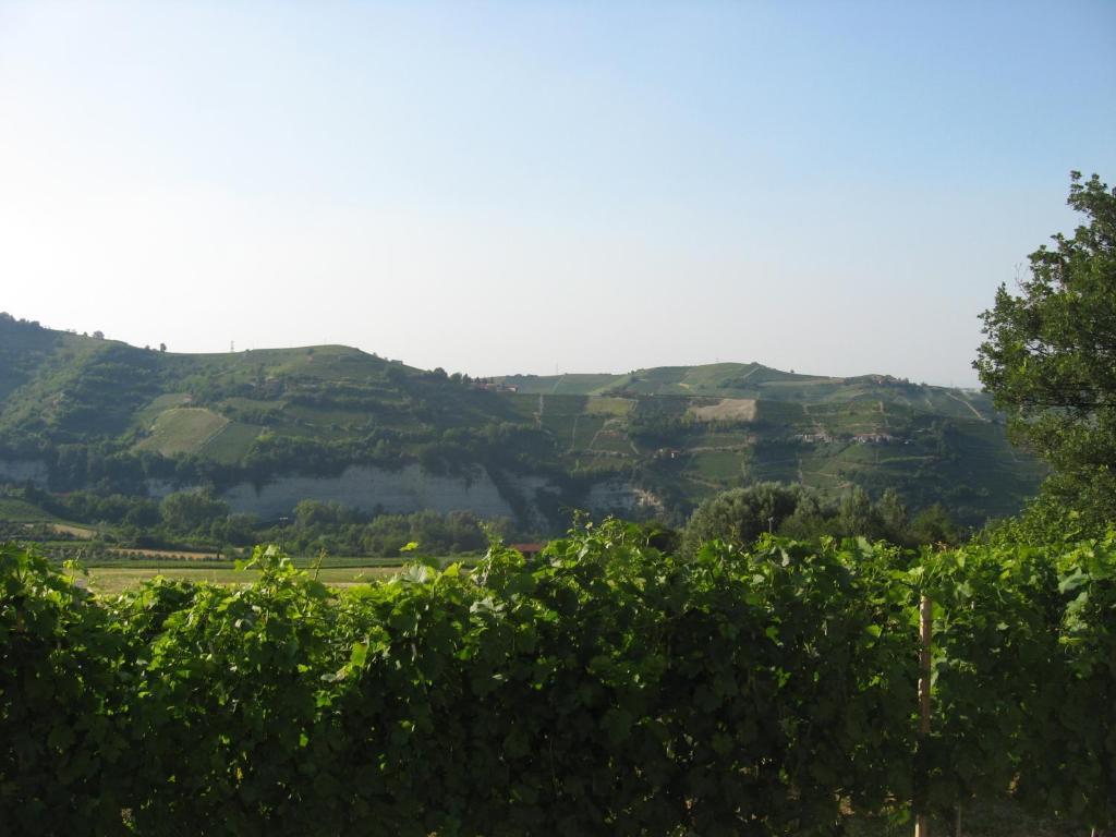 Agriturismo Cascina Serra Cossano Belbo Bilik gambar