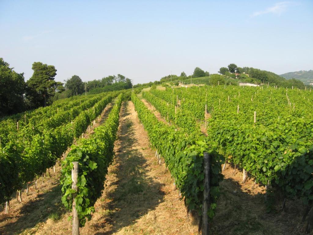 Agriturismo Cascina Serra Cossano Belbo Bilik gambar