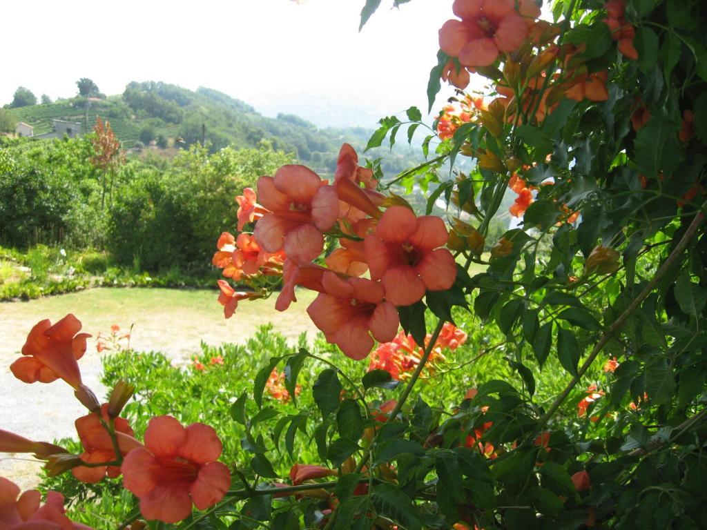Agriturismo Cascina Serra Cossano Belbo Luaran gambar