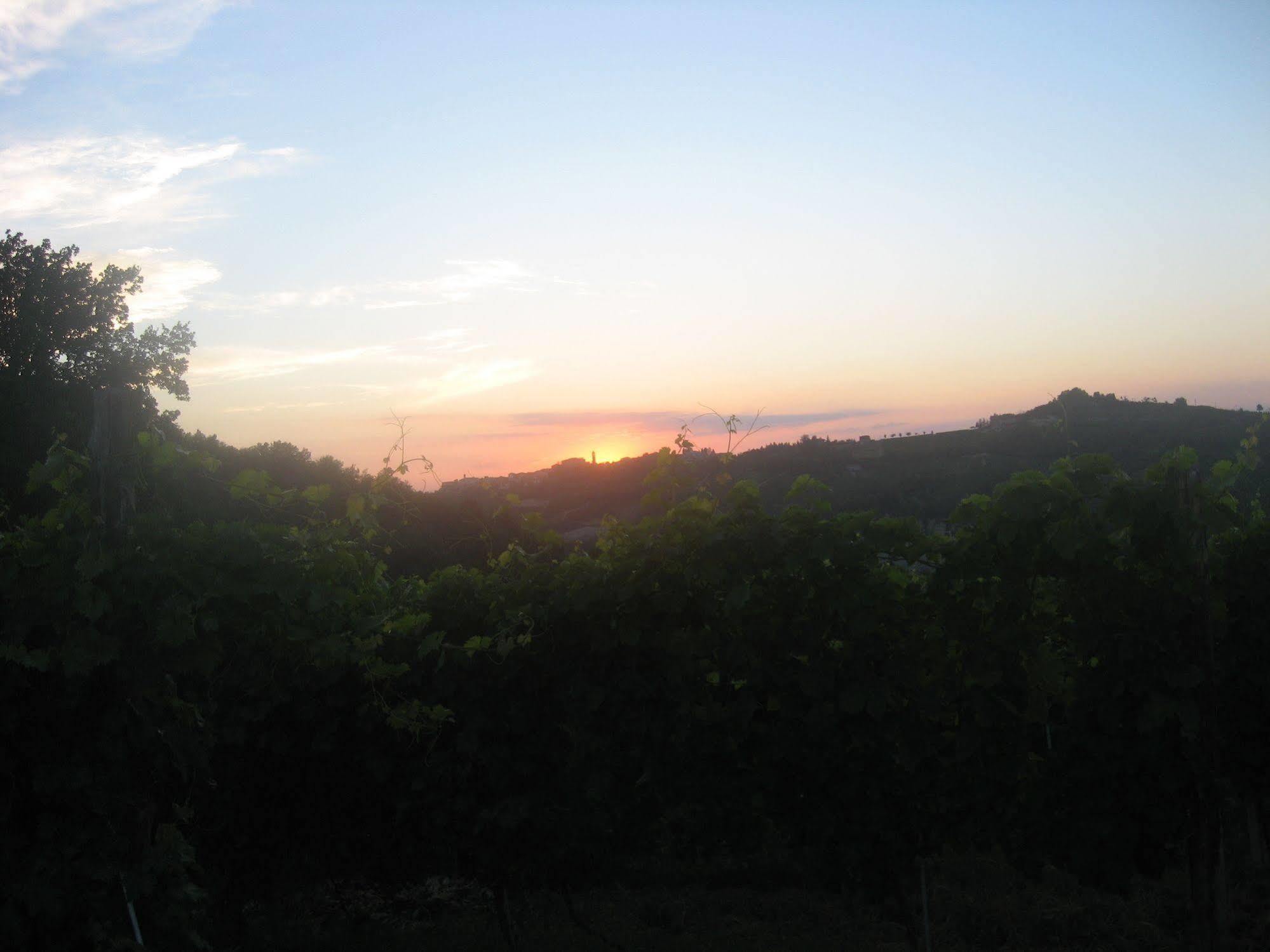 Agriturismo Cascina Serra Cossano Belbo Luaran gambar